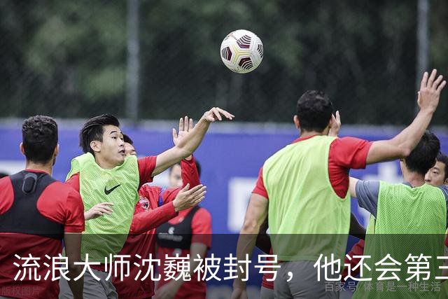 流浪大师沈巍被封号，他还会第三次复出么？