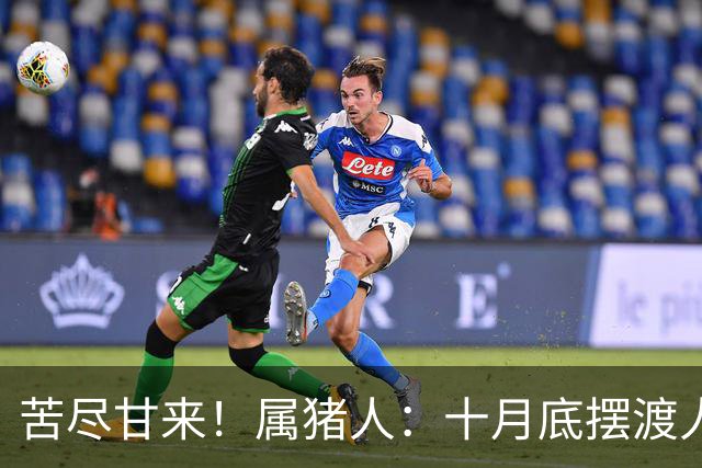 苦尽甘来！属猪人：十月底"摆渡人"悄然降临